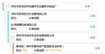 深圳市龙岗区坪地镇坪东正富雨伞制品厂工商注册信息概览