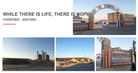 专业代理代办服务公司简介